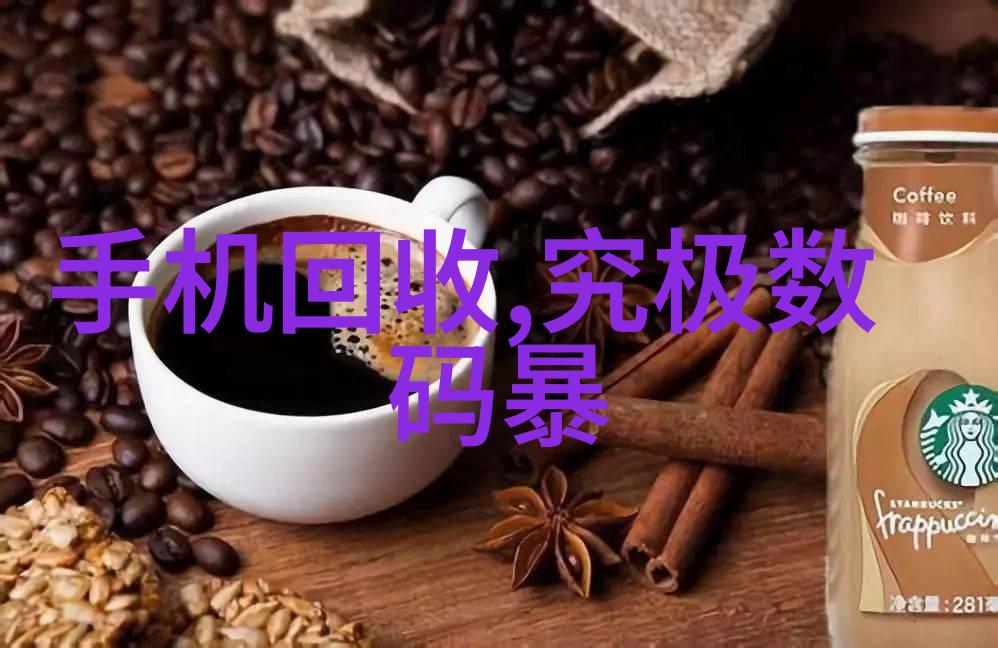 未解之谜的豪宅揭秘最新房子装修效果图中的隐藏故事
