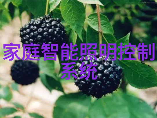 水质检测标准解析如何确保饮用水安全无害