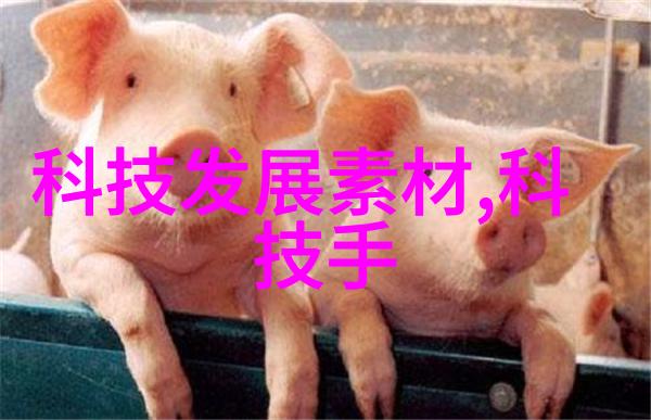 英语课代表的成长与挑战