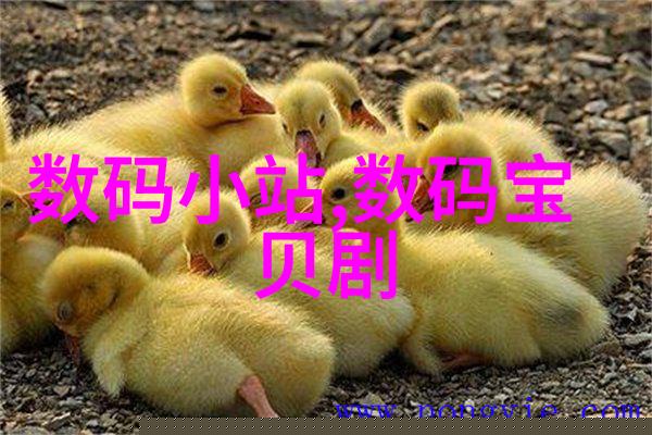 主题我在互联网上发现了一个神奇的地方叫资源天堂里面藏着各种色彩斑斓的内容让人沉浸其中就像迷失在仙境
