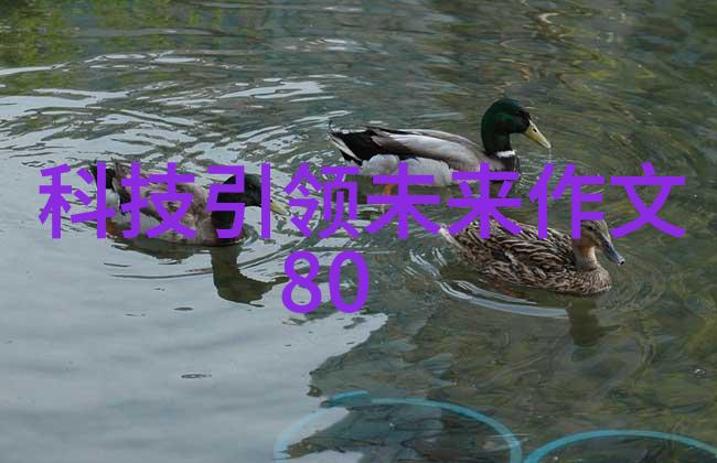 高温瞬时灭菌设备-超声波杀菌高温瞬时灭菌设备的新纪元