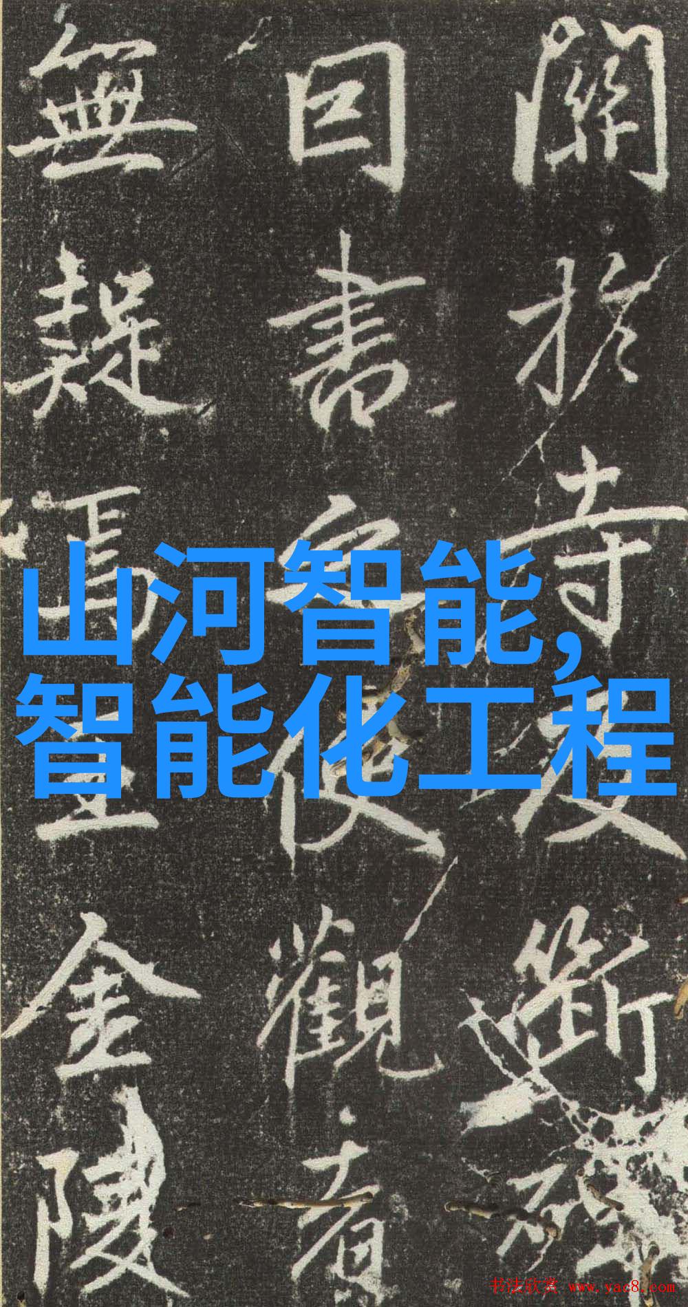 数码之家网探索家庭网络技术与社会互动的未来