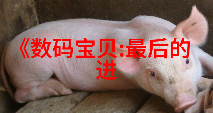 家居装修设计网创意灵感与实用指南