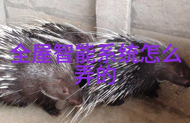 天上人间一个在云端品味美食的故事与另一个在地面寻找满足的旅程