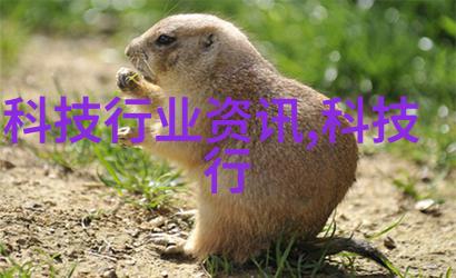 我是如何用多功能水质检测笔解决生活中的小问题的