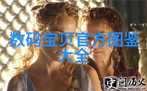 圣女传奇信仰与力量的双刃剑