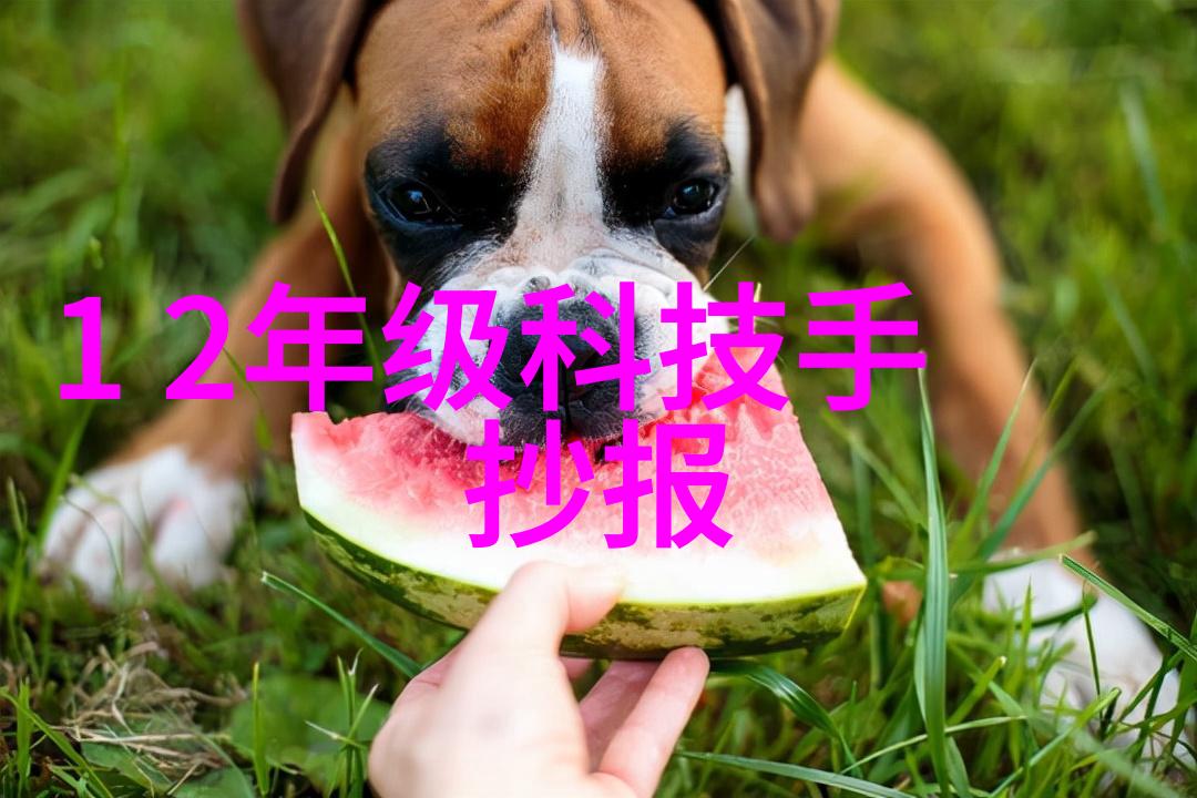 柳田弥生织梦者与时光的交响