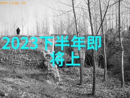 家居美学新篇章深度剖析最新卫生间装修效果图中的细节之美