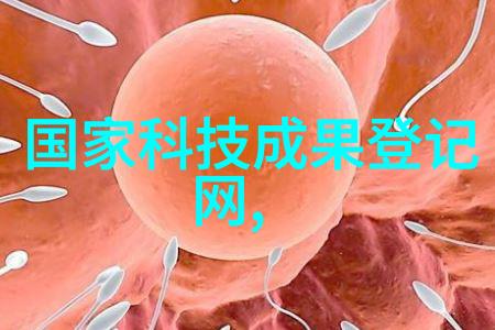 隐私权与国家安全监控技术的双刃剑