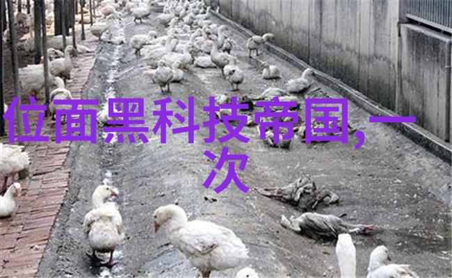 乐维时光奏鸣的无声交响