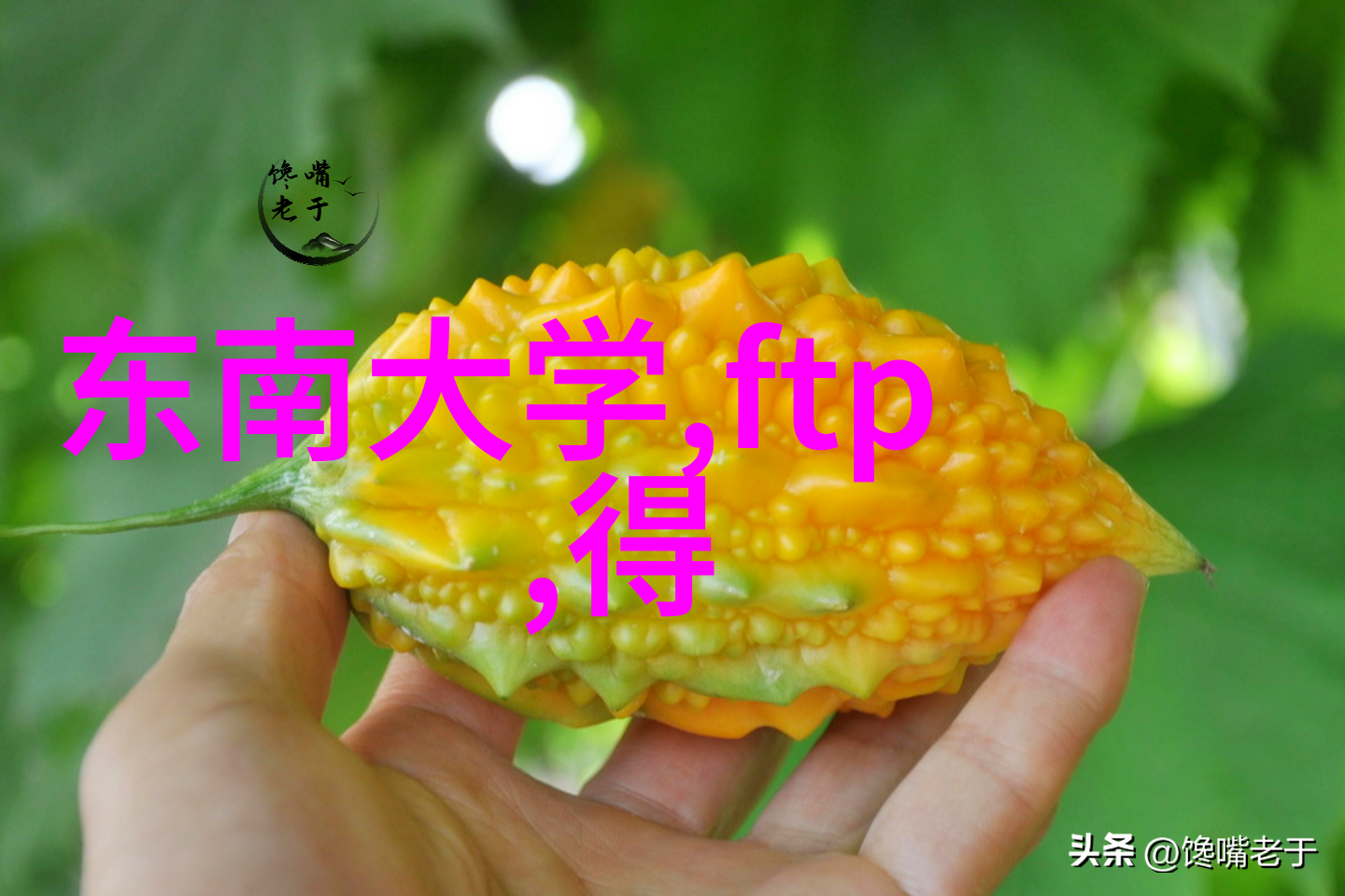 高效能不锈钢管热处理系统的研发与应用探究