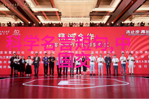 中国智能交通网未来出行的智慧之城
