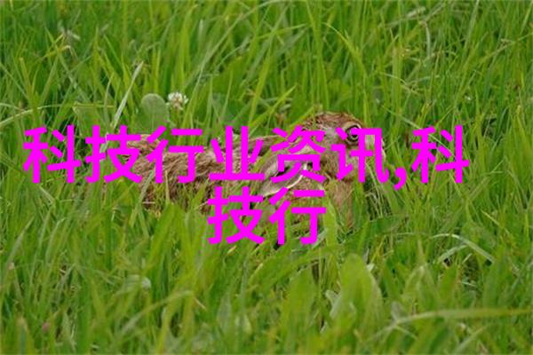 水资源调度与管理确保供需平衡的技术创新