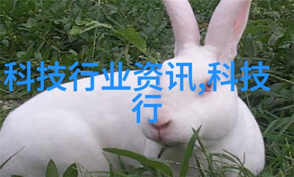 密封件设备新时代的安全防护器官