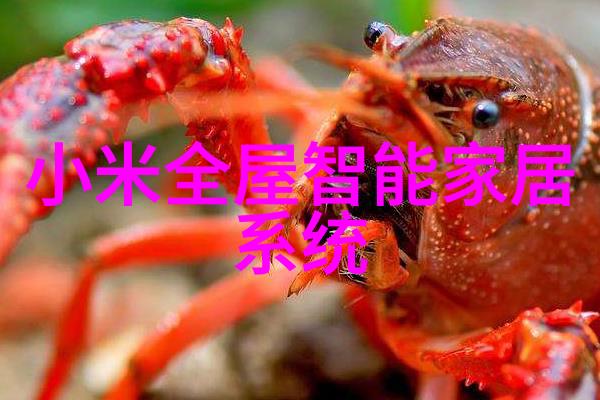 智能机器视觉革命深度学习与图像识别技术的新篇章