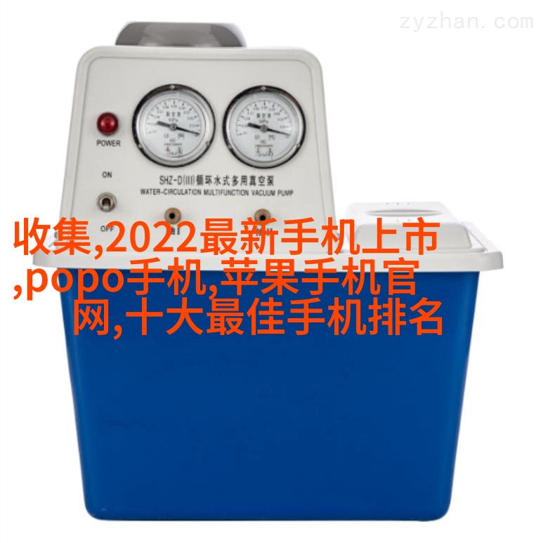 新中式家庭装修图片
