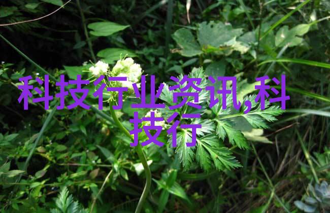 如何一步步进行家庭卫生间的自助装修