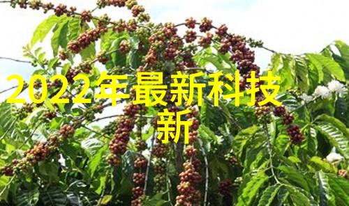 人工智能的基本内容-从算法到机器学习揭秘AI核心技术