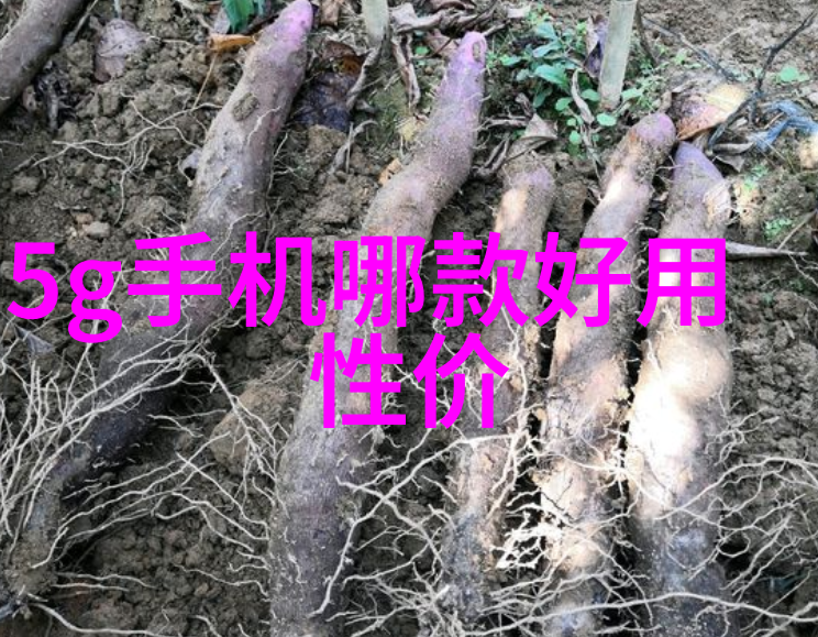 揭秘乙炔瓶内填料安全与功能的双重保障