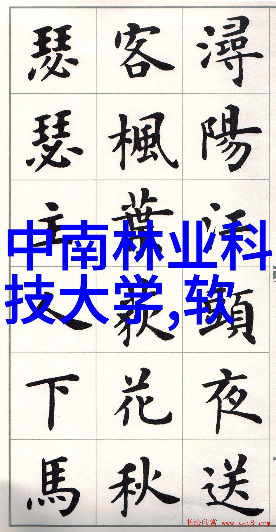 豪华别墅装修设计创造梦想庭院与奢华居所