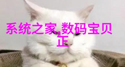 白芷新姿态小物变革之旅