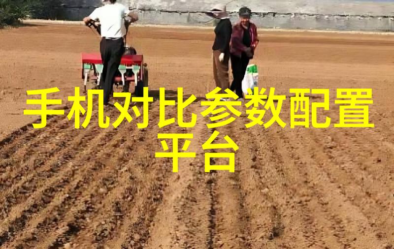 经典元素如何塑造完美的家庭氛围精选客户案例分享