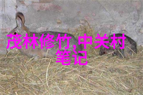 2023最新客厅装修风格时尚简约设计