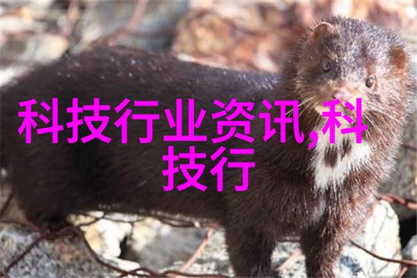 铁艺护栏价格金属装饰性围栏成本