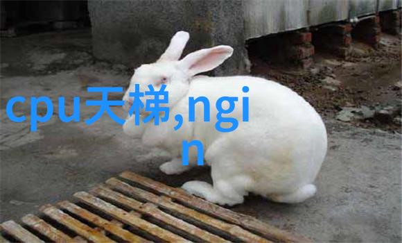 超纯之谜实验室里的水源