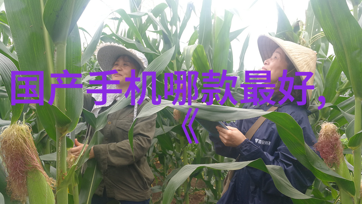 动态管式反应器高效合成的创新工艺与应用前景