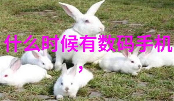 对于小型企业来说实施即时配置是否是个有效策略分析利弊