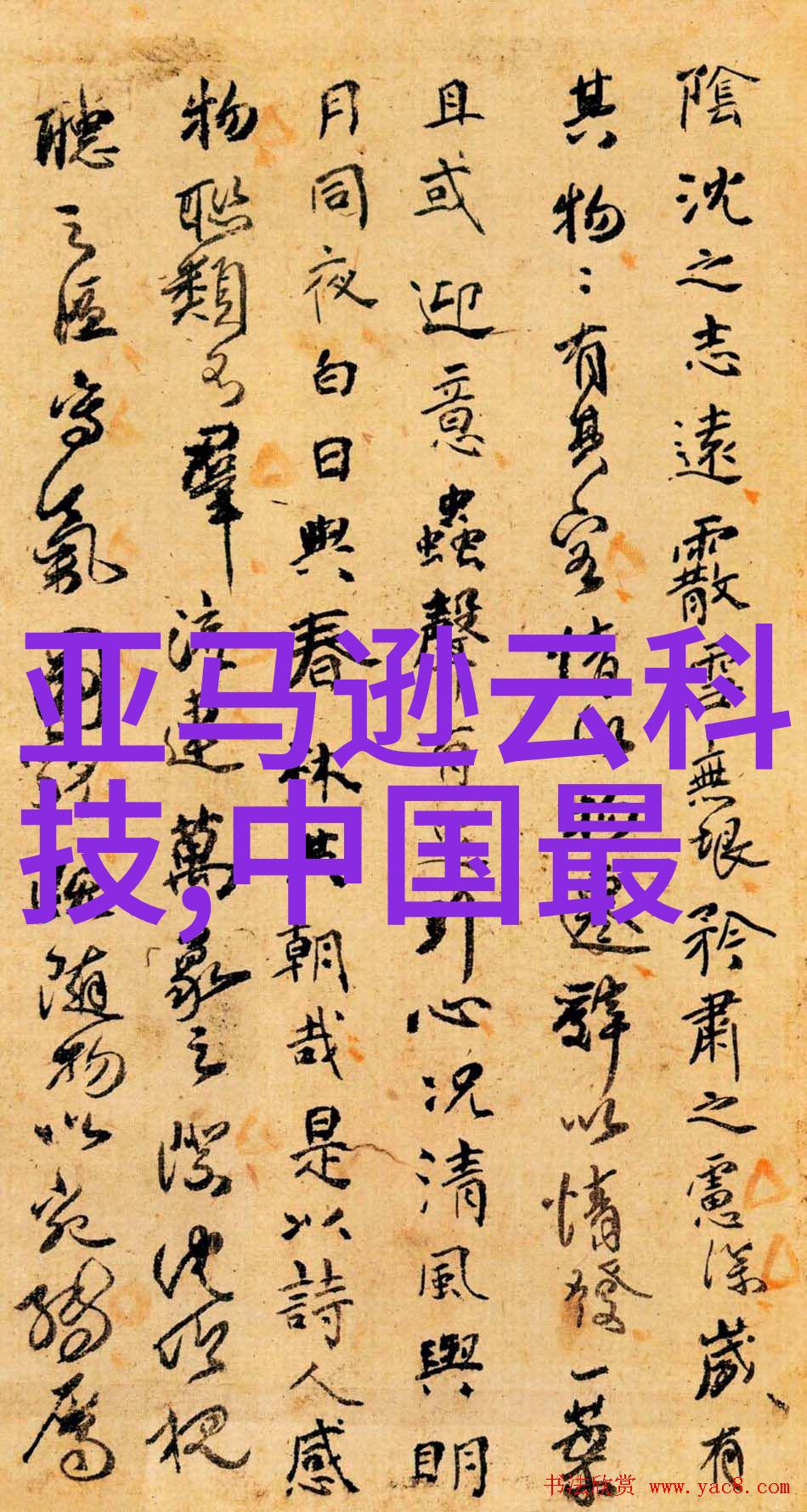 家居美学温馨舒适的客厅艺术展示