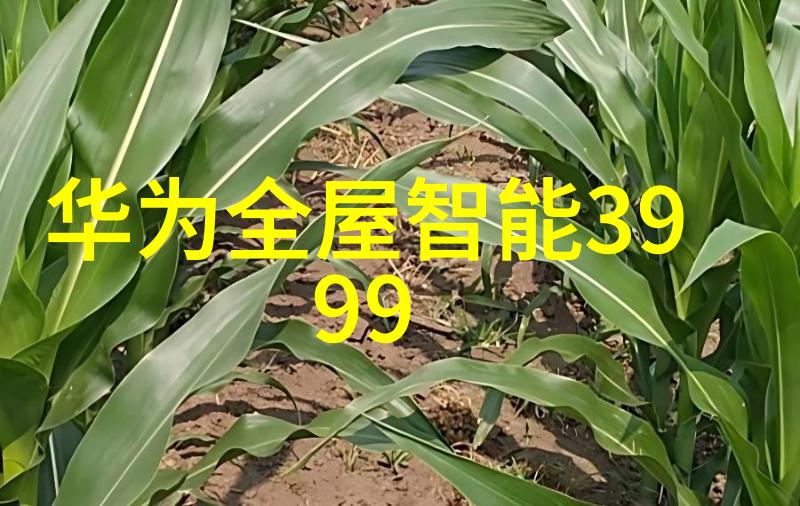 电机驱动系统在压缩空气干燥设备中的作用分析