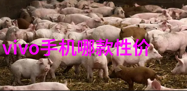 不锈钢喷头-耐腐蚀的水力之选如何选择和维护您的不锈钢喷头