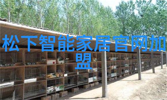 菜花ROUB攻略系统中的优质品种探秘