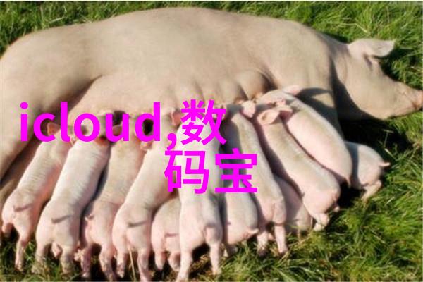 微小奇迹芯片背后的巨大世界
