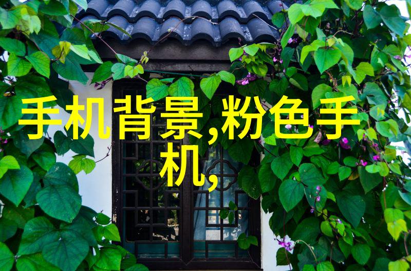 从选择设计风格到完工验收我的房子装修之旅