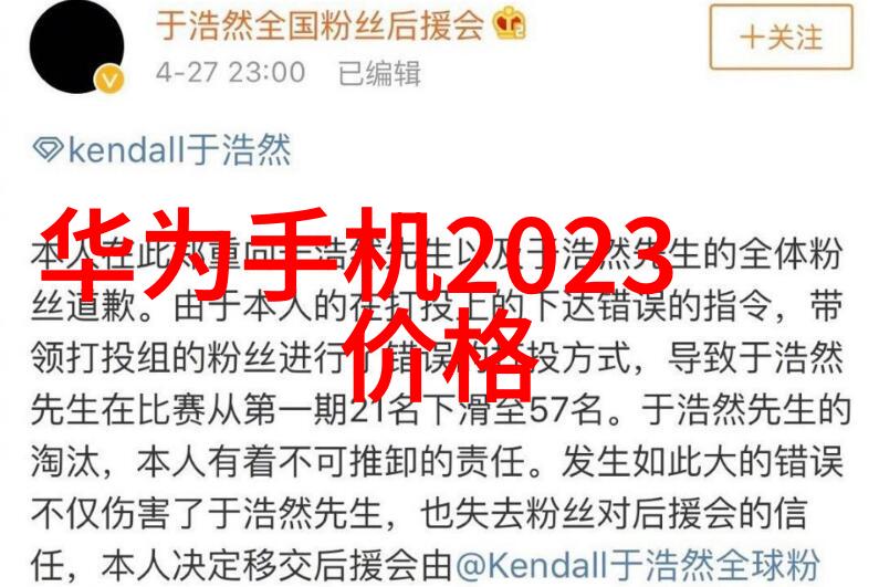 秘密之屋兄弟装饰的隐藏面纱