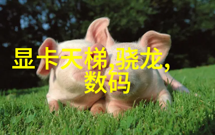 冰封的呼唤汽化器之谜