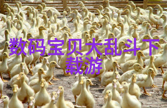 免费心理测试抑郁自评量表 - 轻盈心灵探索抑郁自我评估的旅程