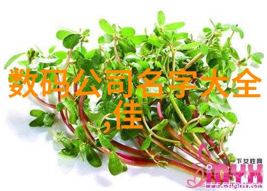 高效粉碎新纪元轮胎再生革命的引擎