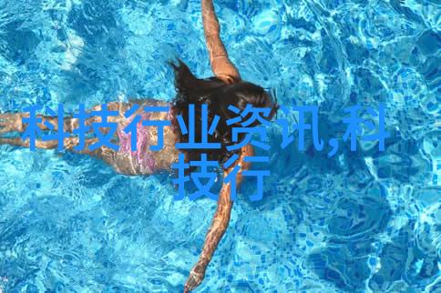 一碗香饭poH美味的家常一碗香饭