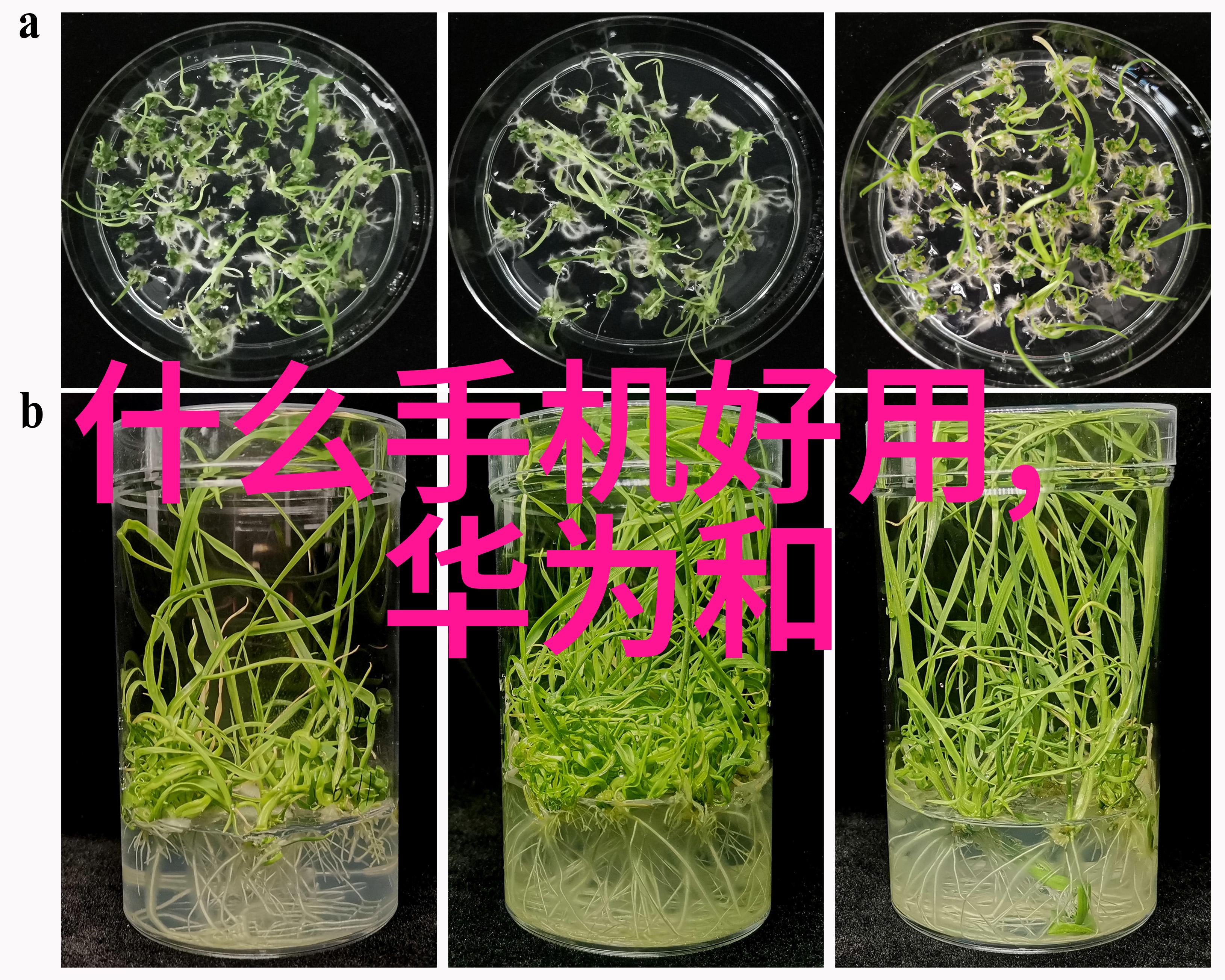 蒸汽发生器在工业应用中扮演什么角色