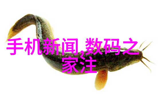 放在里面等我好回来检查我告诉你把钥匙放在什么地方儿