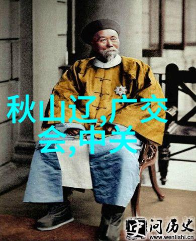 张柏芝的私密之美探索长发与黑毛的魅力