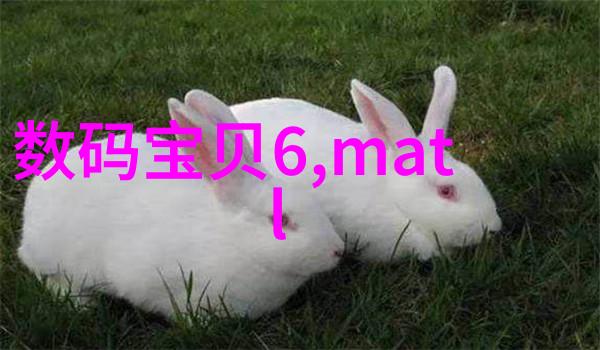 轮胎粉碎设备-高效再生如何有效利用废旧轮胎资源的新篇章