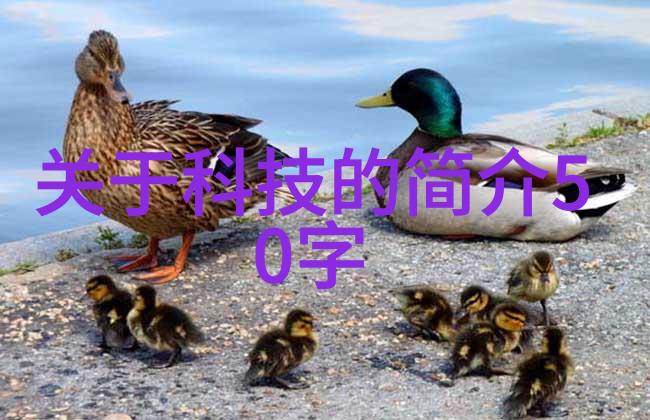 确保卫生安全灭菌设备验证的重要性与实践指南