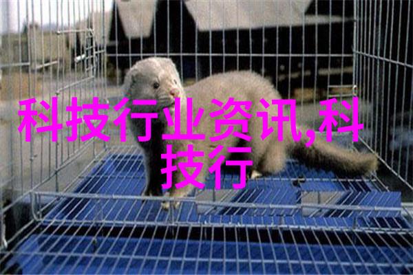 酒店时光我在房间角落的无声故事