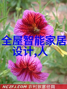 火花蛋蛋1113精彩的舞台表演