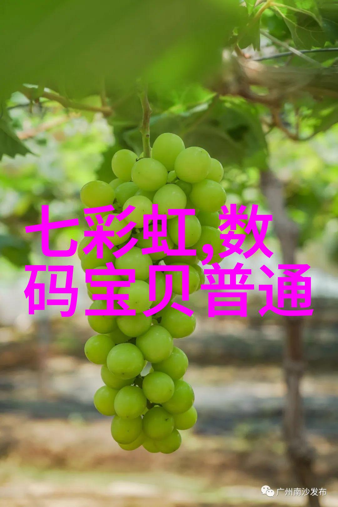 水质检测清澈之标记